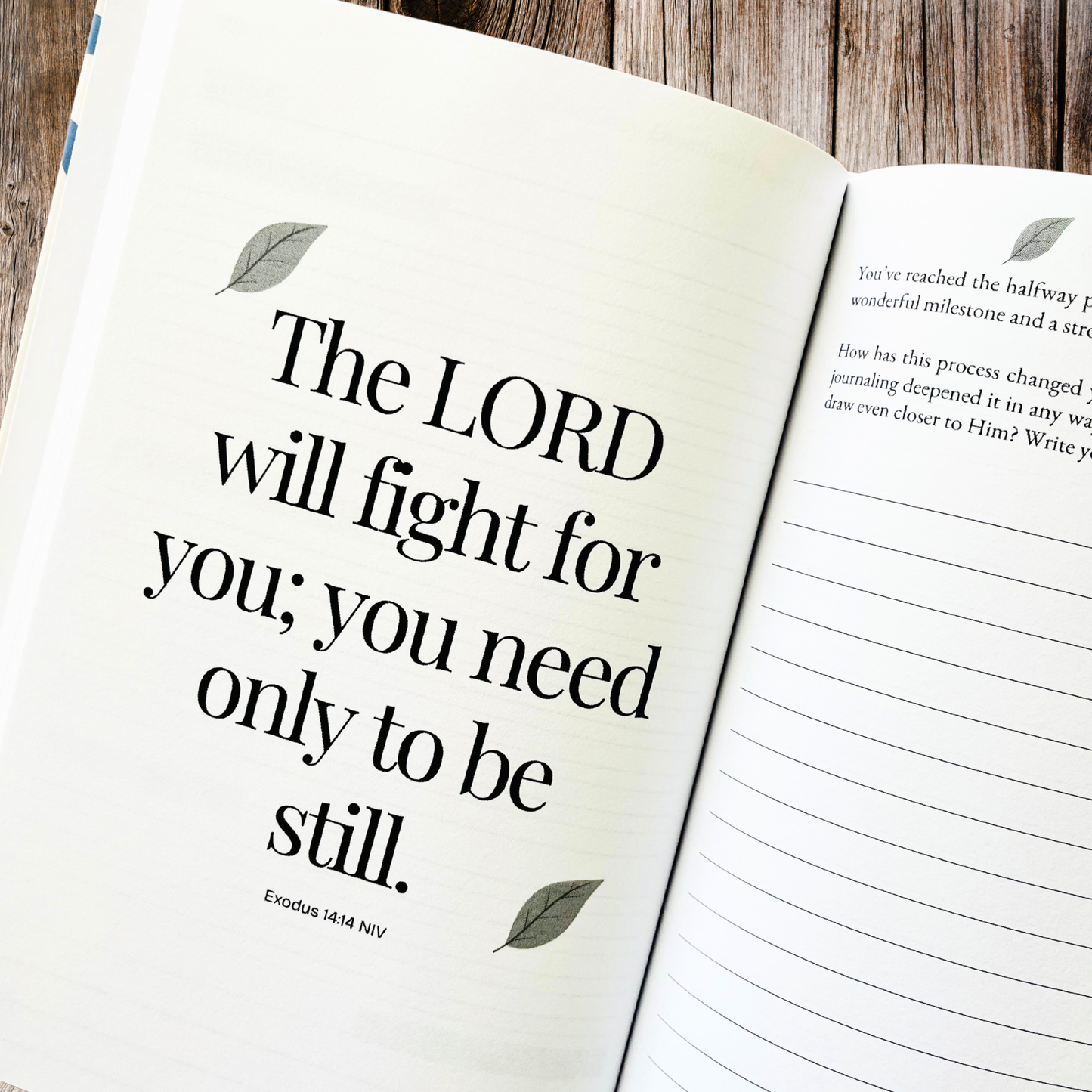 The Daily Devotional Prayer Journal: 12 Weeks of Guided Prayer to Grow Closer to God
